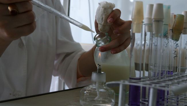 Почти 20 заболевших гриппом А/H1N1 зарегистрировано в Северной Европе