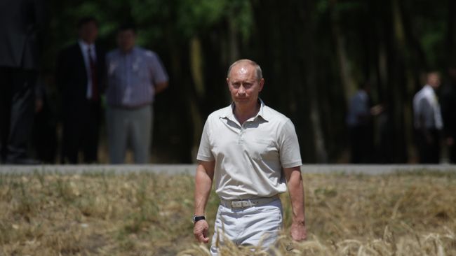 Премьер-министр В.Путин осмотрел пшеничное поле ЗАО Фирма Агрокомплекс Премьер-министр В.Путин осмотрел пшеничное поле ЗАО Фирма Агрокомплекс