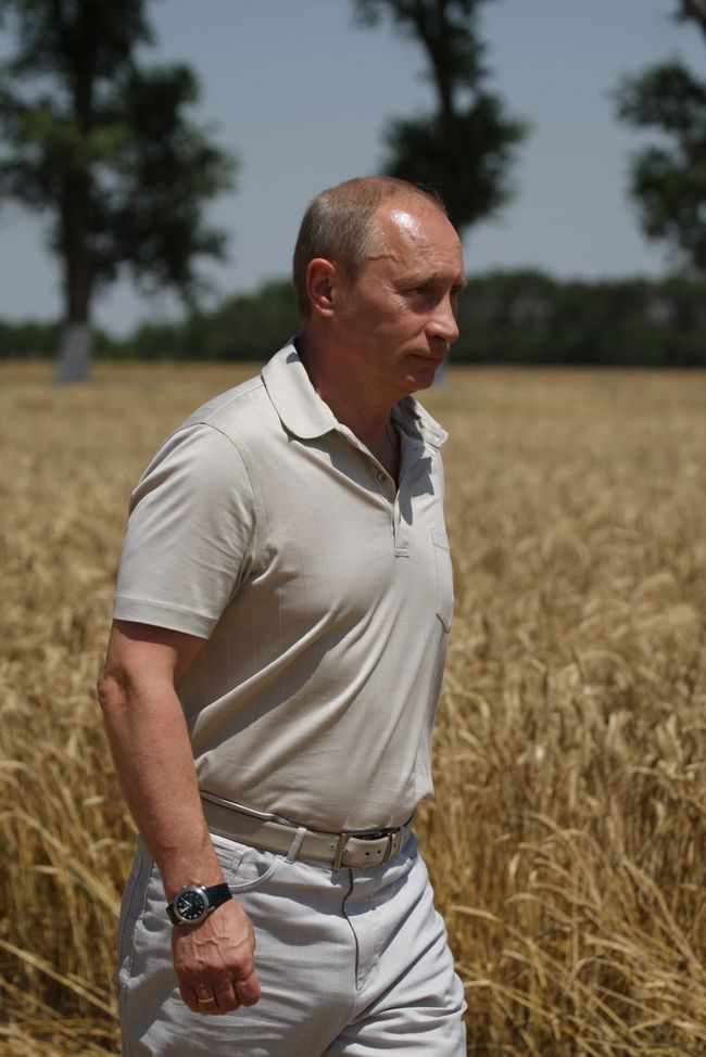 Премьер-министр В.Путин осмотрел пшеничное поле ЗАО Фирма Агрокомплекс Премьер-министр В.Путин осмотрел пшеничное поле ЗАО Фирма Агрокомплекс