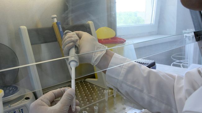 На данный момент в России подтверждены 12 случаев гриппа A/H1N1 На данный момент в России подтверждены 12 случаев гриппа A/H1N1