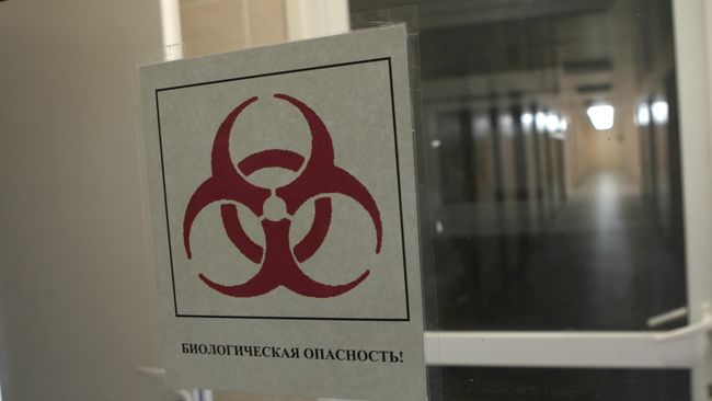 Работа НИИ гриппа в Санкт-Петербурге Работа НИИ гриппа в Санкт-Петербурге