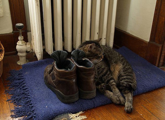 Отопление в жилых домах