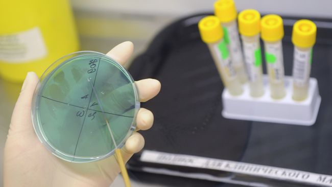 Третий случай смерти от вируса A/H1N1 подтвержден в Литве