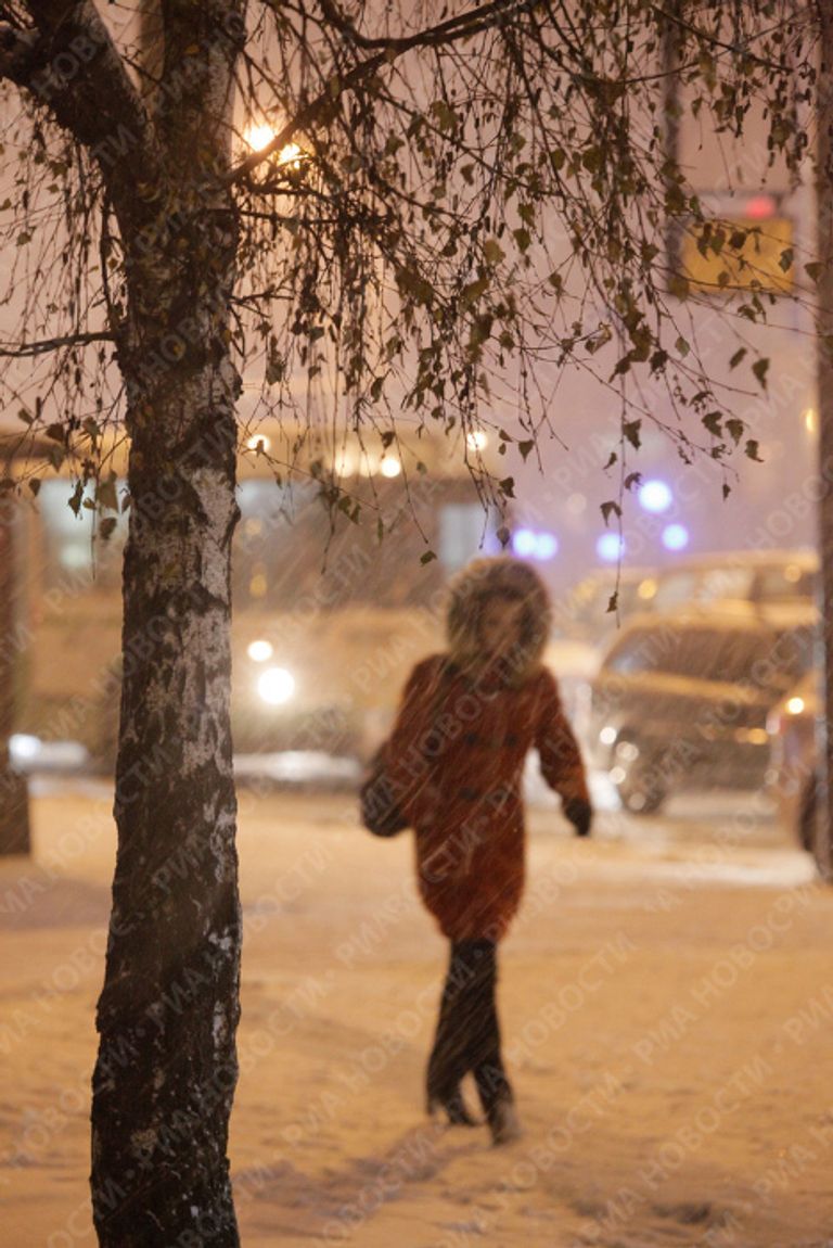 Первый сильный снегопад в ноябре Первый сильный снегопад в ноябре
