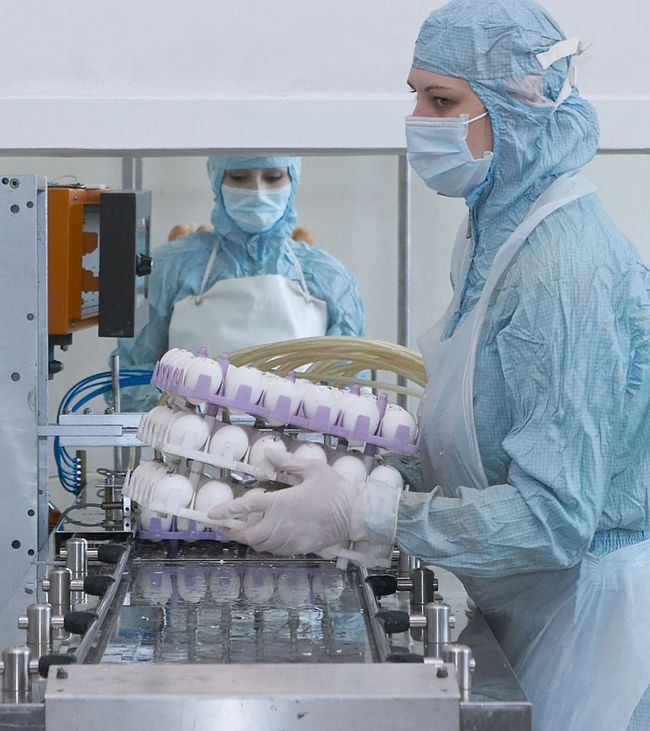 Производство вакцины против гриппа A/H1N1 