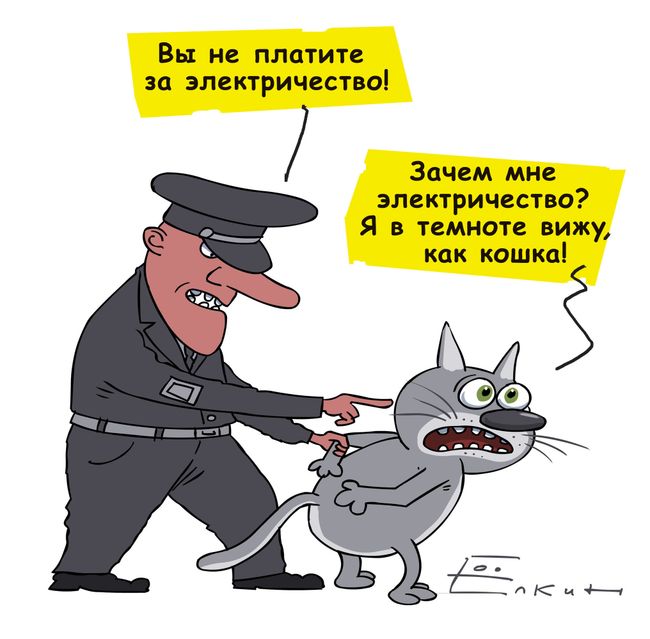 Приставы арестовали котенка редкой породы
