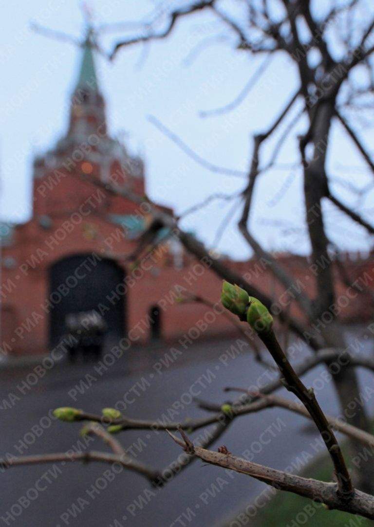 Аномальное тепло в Москве в декабре Аномальное тепло в Москве в декабре