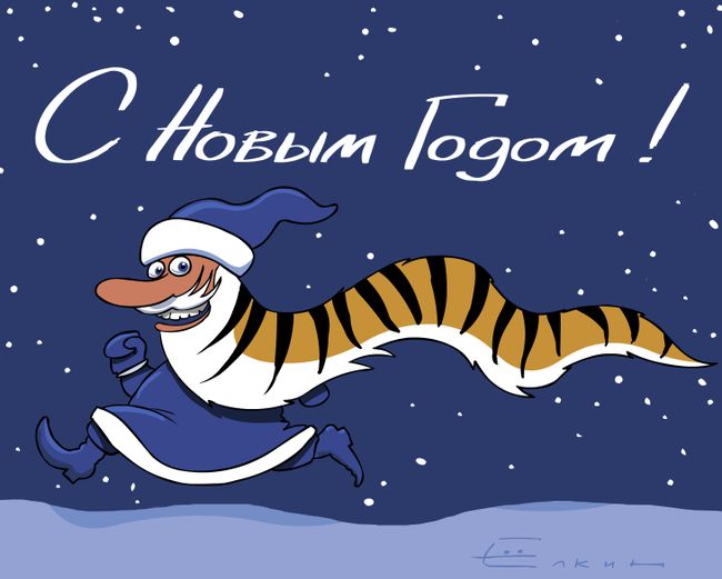 Новый 2010 год пришел в Россию