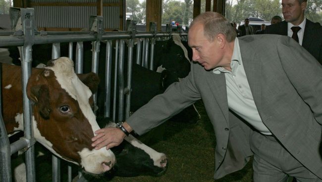Президент России Владимир Путин во время посещения молочной фермы. Архив
