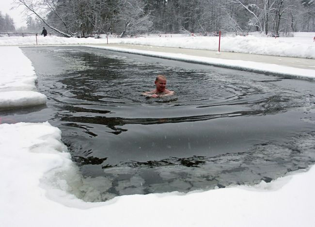Купание моржа в Серебряном бору. Архив Купание моржа в Серебряном бору. Архив