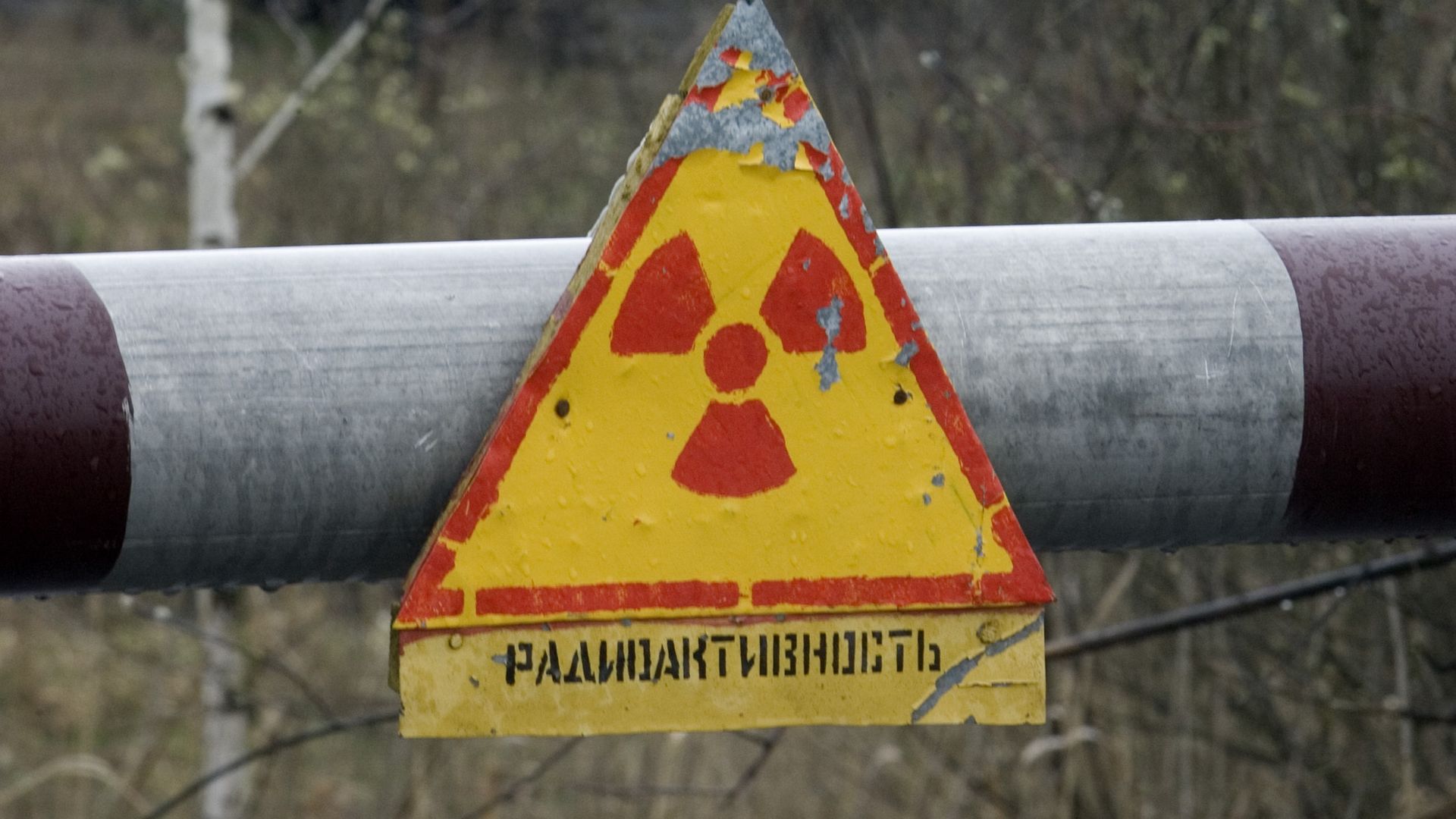 Зона отчуждения Чернобыльской АЭС в Гомельской области Зона отчуждения Чернобыльской АЭС в Гомельской области - РИА Новости, 1920, 05.03.2026