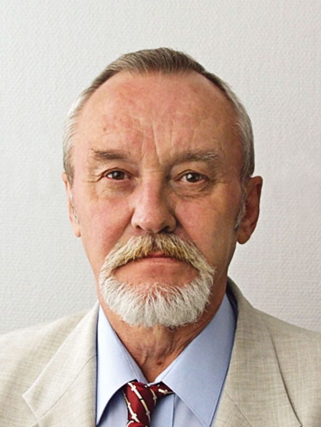 Журналист Олег Колесников