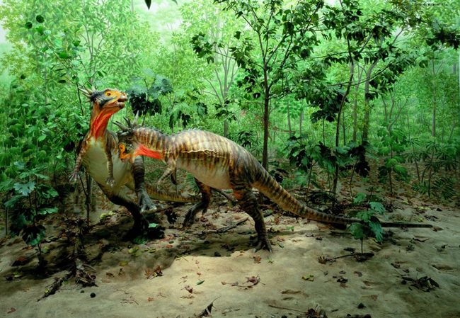 Динозавры Stygimoloch spinifer Динозавры Stygimoloch spinifer