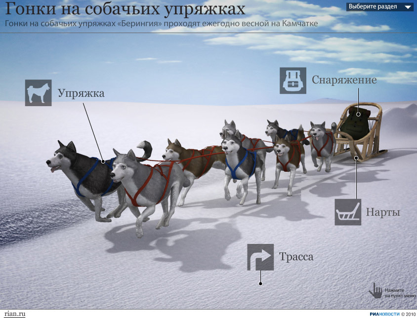 Гонки на собачьих упряжках