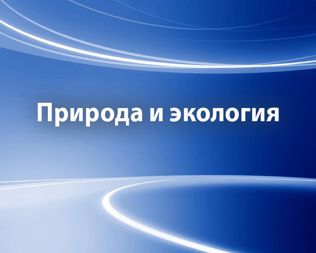 Тест_Природа и экология