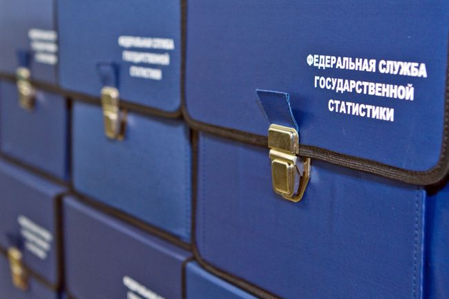 Правкомиссия по Всероссийской переписи проведет первое заседание