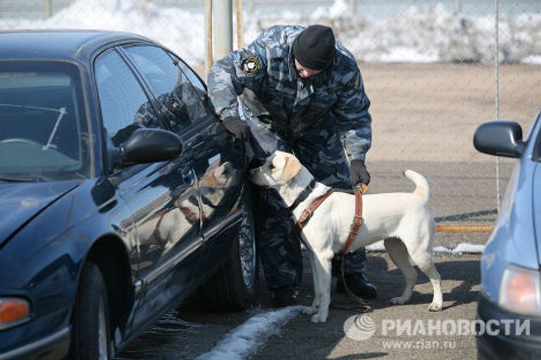 Чемпионат по многоборью среди кинологов в Новосибирске Чемпионат по многоборью среди кинологов в Новосибирске