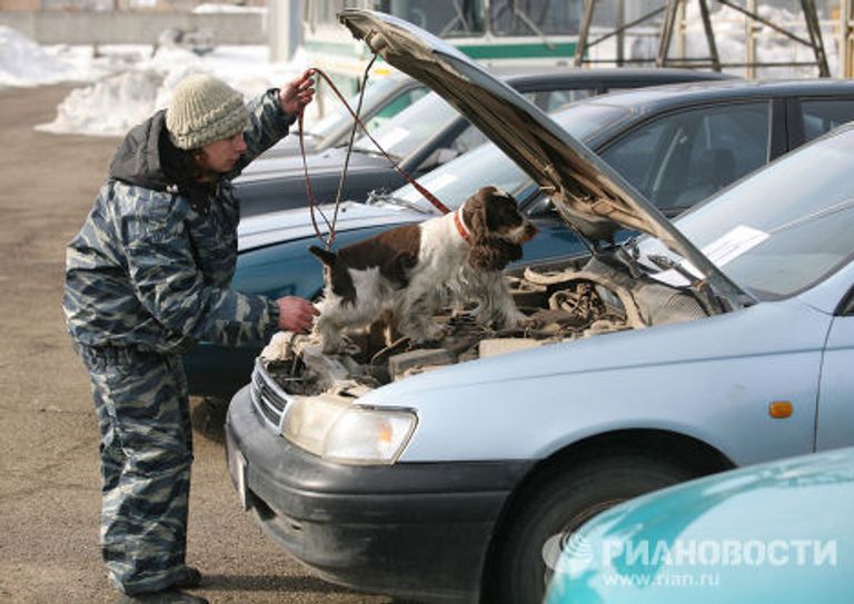 Чемпионат по многоборью среди кинологов в Новосибирске Чемпионат по многоборью среди кинологов в Новосибирске