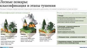 Лесные пожары: причины возникновения и методы предотвращения Лесные пожары: причины возникновения и методы предотвращения