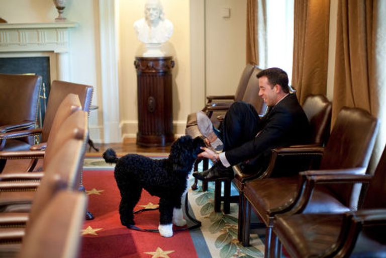 Пес президента США Барака Обамы в Белом доме Пес президента США Барака Обамы в Белом доме
