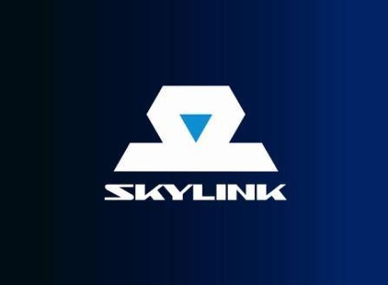 Логотип компании SkyLink Логотип компании SkyLink