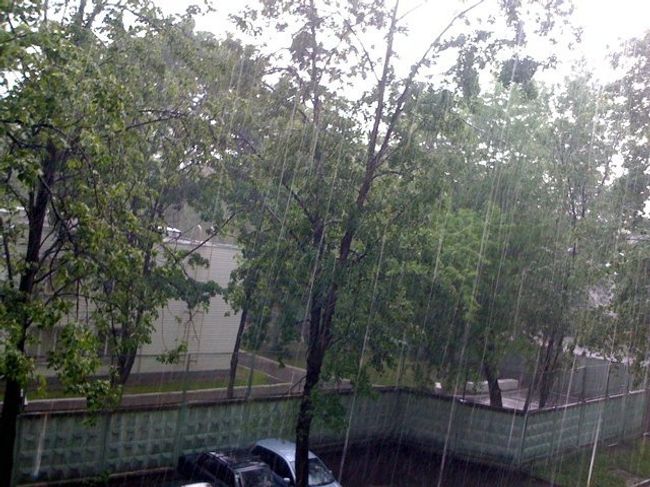 Ливень. Архив