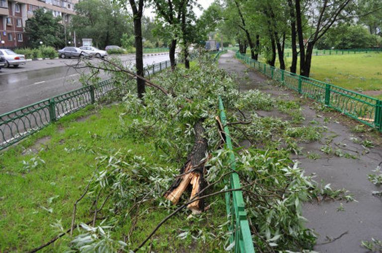 Последствия грозы в московском районе Гольяново 13 июня 2010 г. Последствия грозы в московском районе Гольяново 13 июня 2010 г.