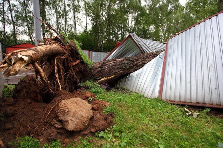 Повалены деревья во время бури Повалены деревья во время бури