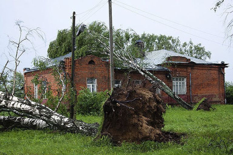 Повалены деревья во время бури Повалены деревья во время бури