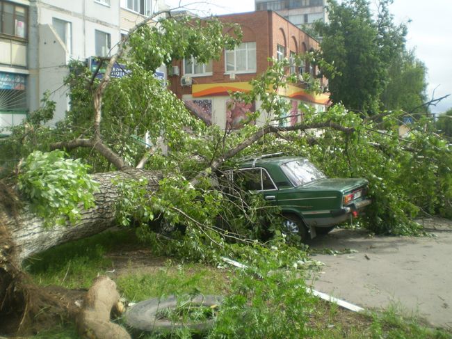 Последствия урагана в Москве
