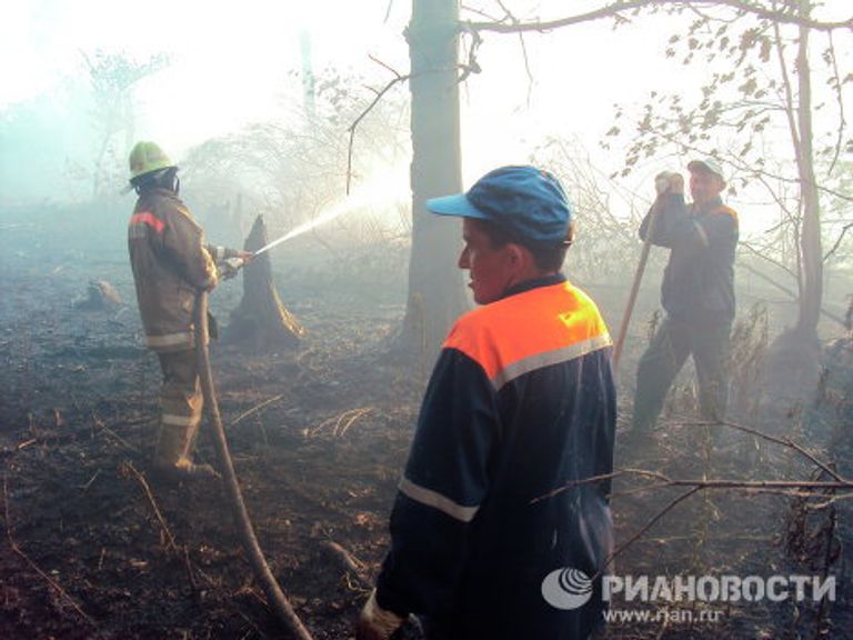 Лесной пожар в окрестностях Уфы Лесной пожар в окрестностях Уфы