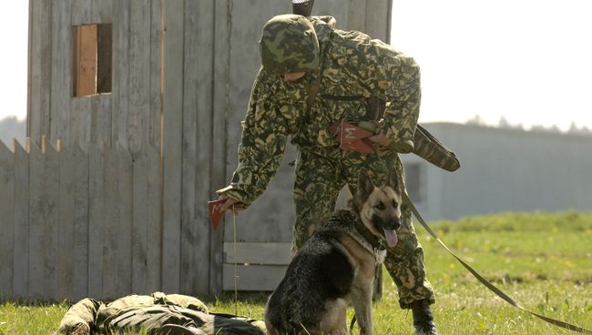 Показные боевые занятия Показные боевые занятия