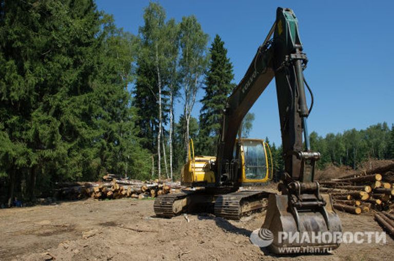 Вырубка Химкинского леса началась в районе аэропорта Шереметьево Вырубка Химкинского леса началась в районе аэропорта Шереметьево