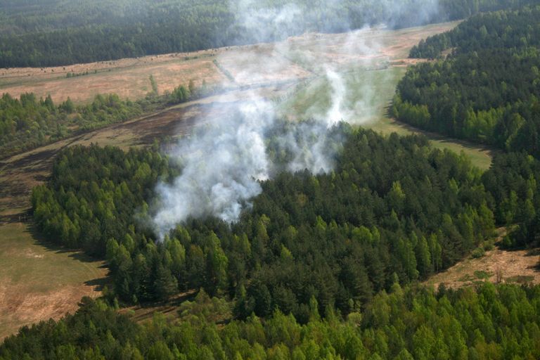 Тушение торфяных пожаров в Подмосковье Тушение торфяных пожаров в Подмосковье