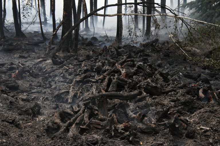 Тушение торфяных пожаров в Подмосковье Тушение торфяных пожаров в Подмосковье