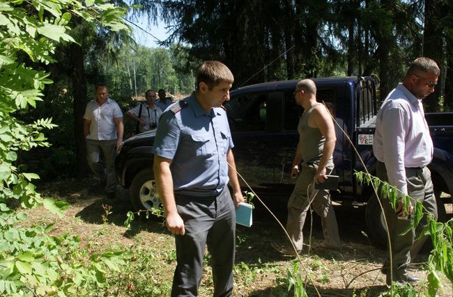 Вырубка Химкинского леса началась в районе аэропорта Шереметьево Вырубка Химкинского леса началась в районе аэропорта Шереметьево