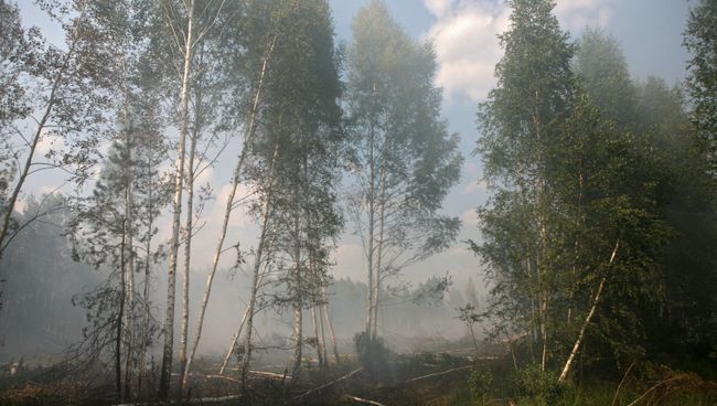 Пожары торфяников в Подмосковье. Архив Пожары торфяников в Подмосковье. Архив