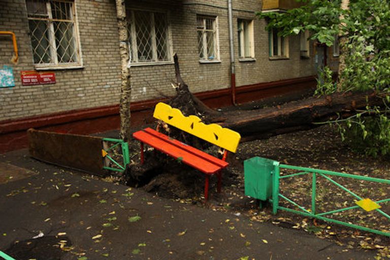 Последствия урагана в районе Соколиная гора. Последствия урагана в районе Соколиная гора.