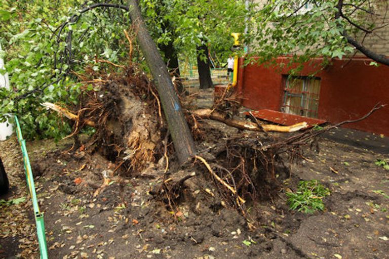 Последствия урагана в районе Соколиная гора Последствия урагана в районе Соколиная гора