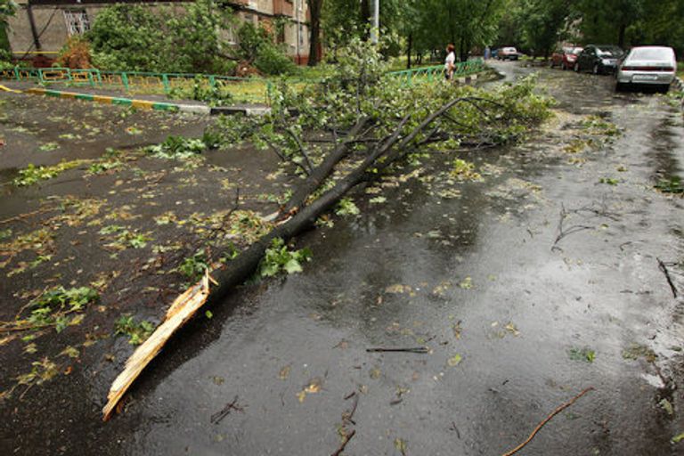 Последствия урагана в районе Соколиная гора Последствия урагана в районе Соколиная гора
