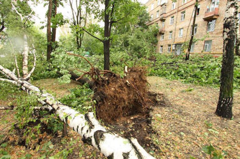 Последствия урагана в районе Соколиная гора Последствия урагана в районе Соколиная гора