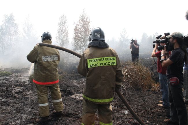 Торфяные пожары в Подмосковье