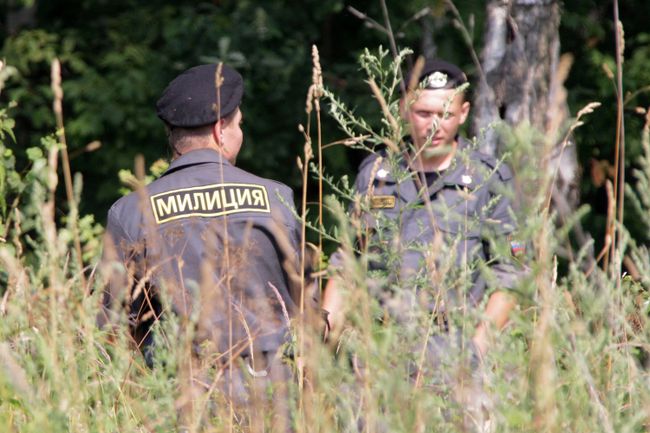 Оцепление места вырубки деревьев в Химкинском лесу