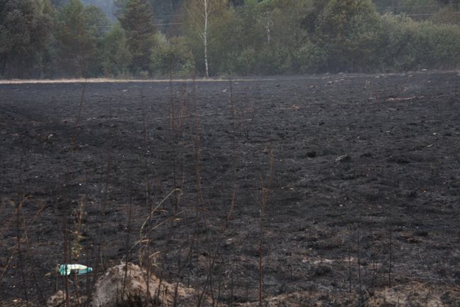 Несколько домов сгорели в Подмосковной деревне Городец Несколько домов сгорели в Подмосковной деревне Городец