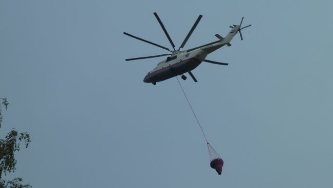 Тушение лесного пожара Тушение лесного пожара