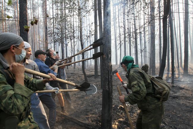 Тушение лесных пожаров в Воронежской области