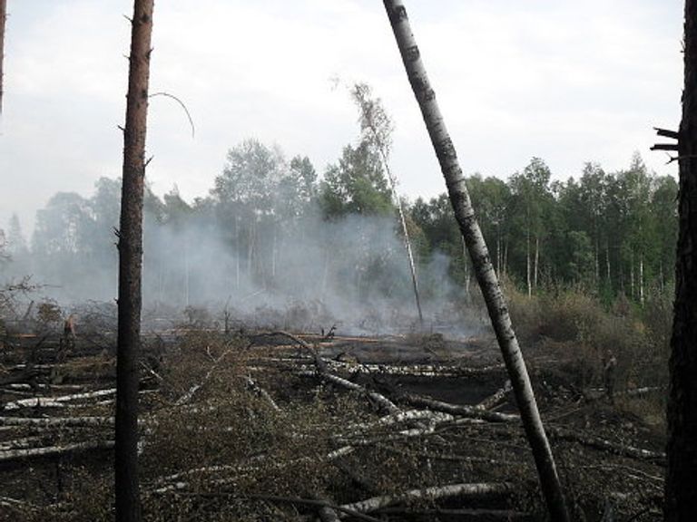 Пожар в Раменском лесу Пожар в Раменском лесу