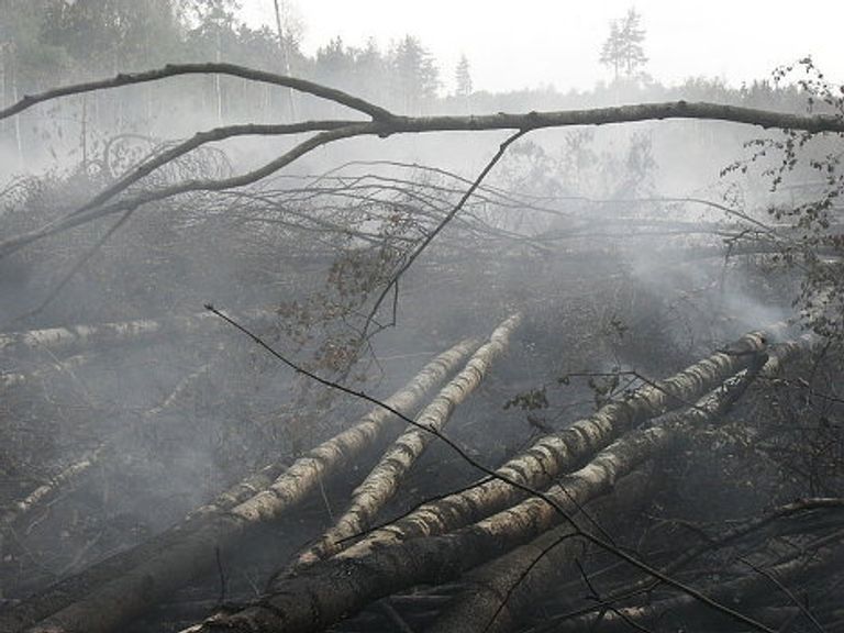 Пожар в Раменском лесу Пожар в Раменском лесу