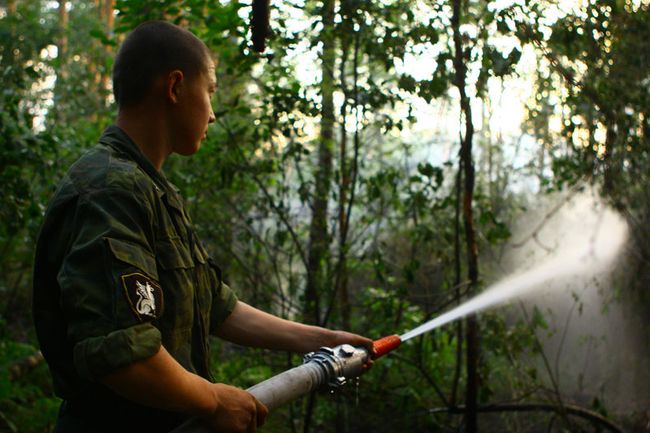Спасатели победили лесные пожары под Воронежем