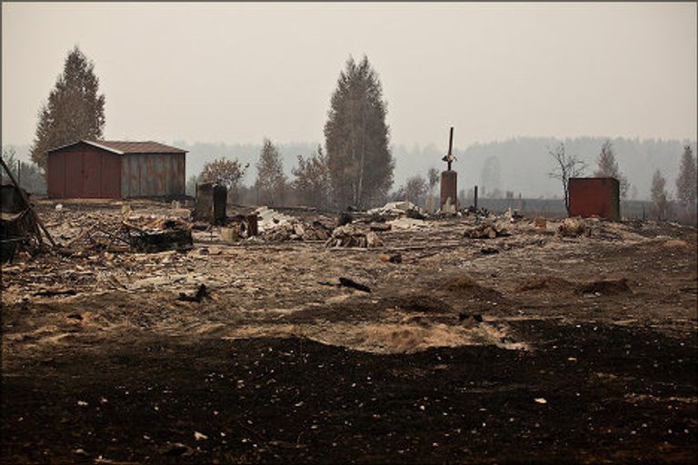 Добровольцы в Рязанской области Добровольцы в Рязанской области